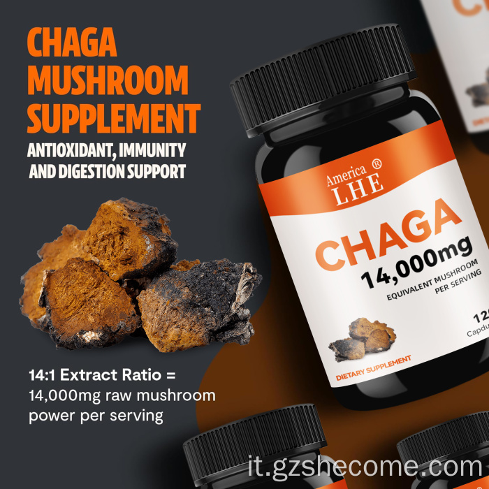 FUNGHI CHAGA FUNGHI FUNGHI CAPSULE SUPPORTO GIUSTO